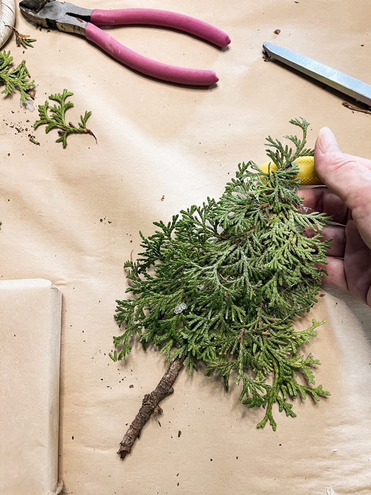 Make cedar shaped tree from sprigs of cedar, cardboard and a gathered twig.