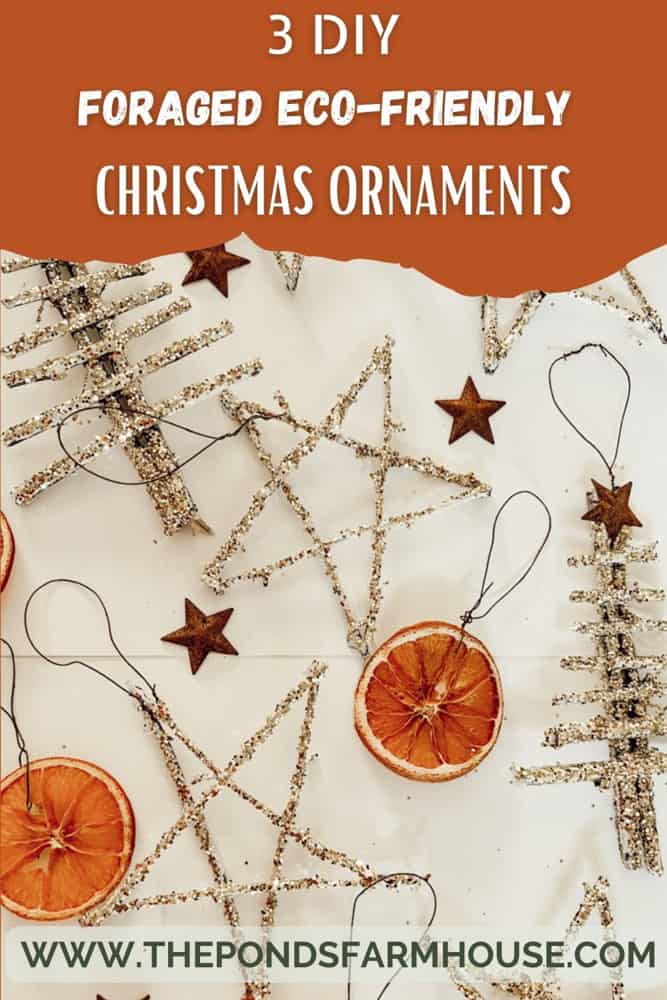 DIY Foraged and Eco-Friendly Sustainable Christmas Tree Ornaments that are easy to make.