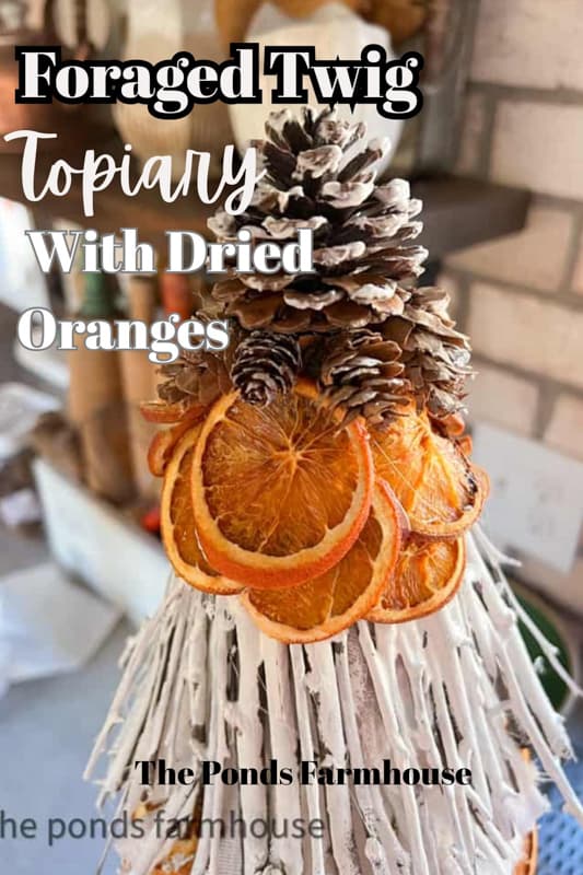 Foraged Twig and Dried Orange Topiaries