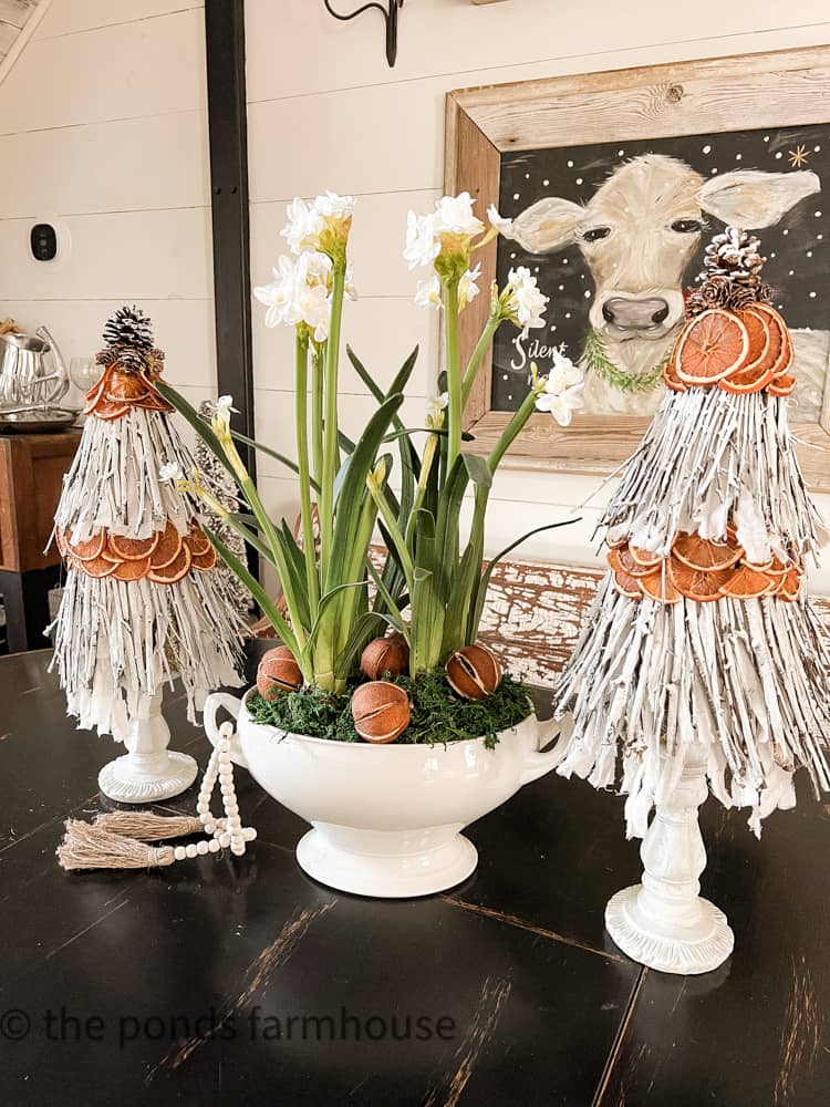 DIY Foraged Twig and Dried Orange Topiaries on Christmas Table with forced paper whites and whole dried orange centerpiece.