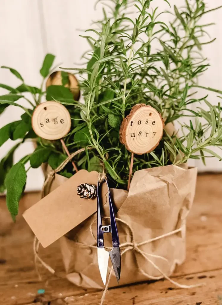 Make an herb garden for the kitchen to give a hostess gift. 