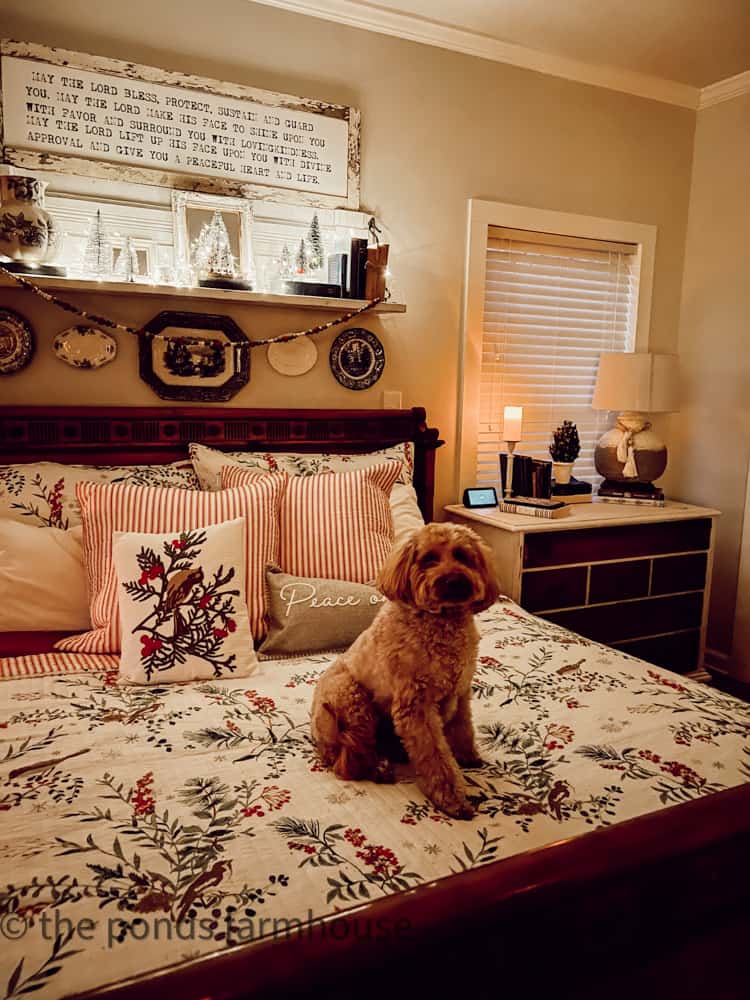 Mini-golden doodle on Christmas Bedding for Candlelight Christmas Tour of Bedroom.