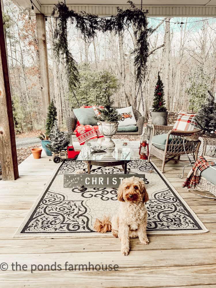 Rudy welcomes you to the farmhouse porch seating area with swing and vintage wicker chairs.