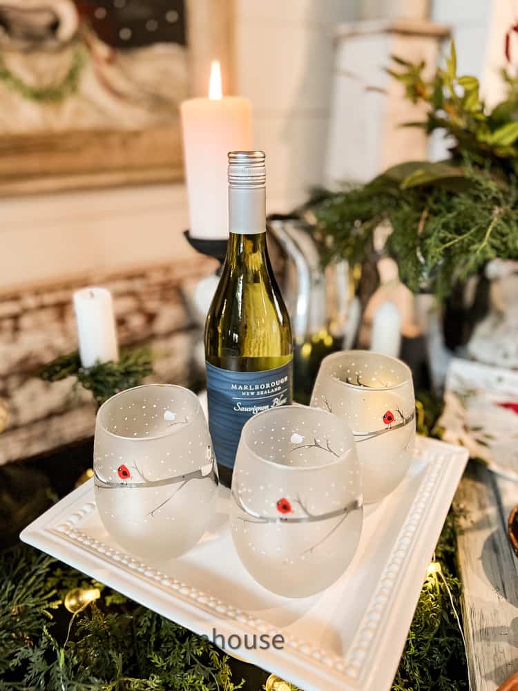 Wine wine with stemless wine glasses for Wine Tasting Party Ideas