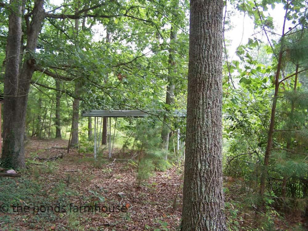 Wooded area where outdoor kitchen is now.