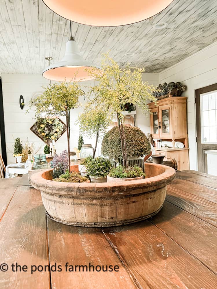 Farmhouse Style Topiaries - Budget  Friendly DIY Project and cottage style home decor.