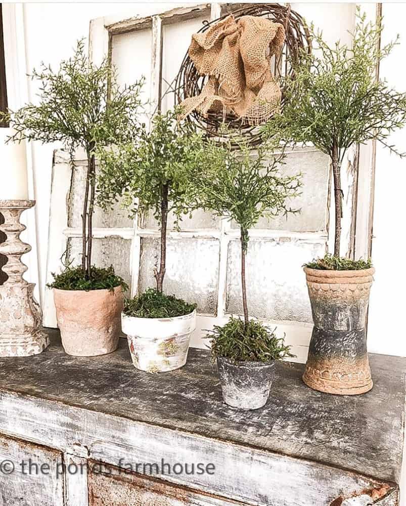 DIY Topiaries with that look like natural herb in clay pots.  