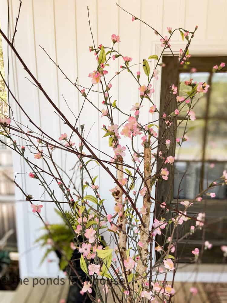 cherry Blossom tree made from recycled ficus tree.