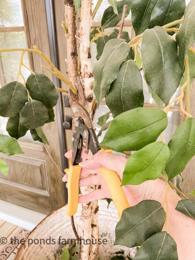 Cut faux Ficus Tree Stems away from the tree trunk.