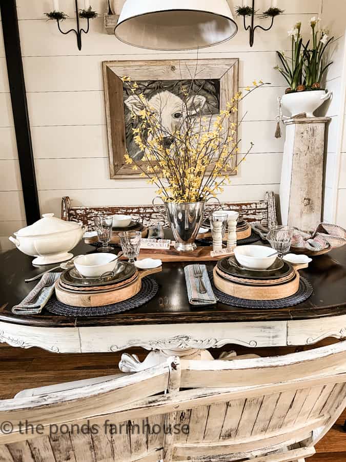 Table Setting with vintage silver urn holding forced forsythia blooms and rustic place settings.  
