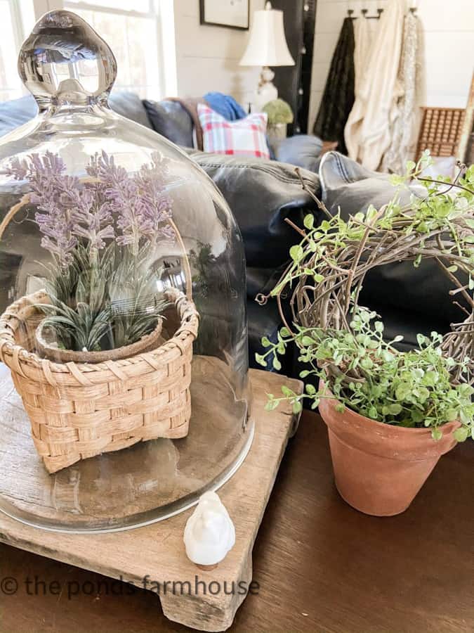 Close up of basket with lavender under glass cloche and greenery topiary in clay pot.  