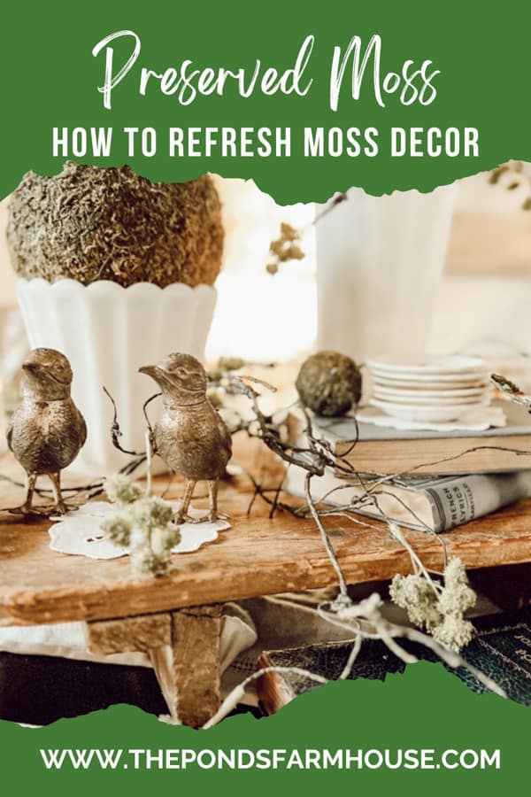 How to Refresh Preserved Moss Decor.  Easy and inexpensive idea for keep moss looking fresh.  