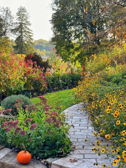 Bricks N Blooms Garden 