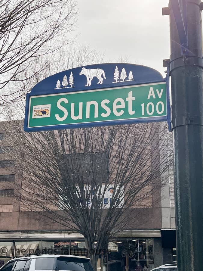 Sunset Avenue, Downtown Asheboro, NC is the heart of Vintage and Thrift Store Shopping and Dining
