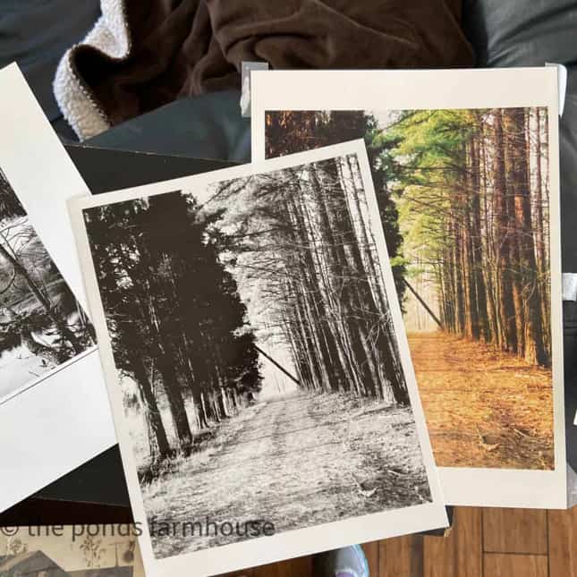 Photocopy color photos into black and white to add to your inherited family photos to create gallery wall. 