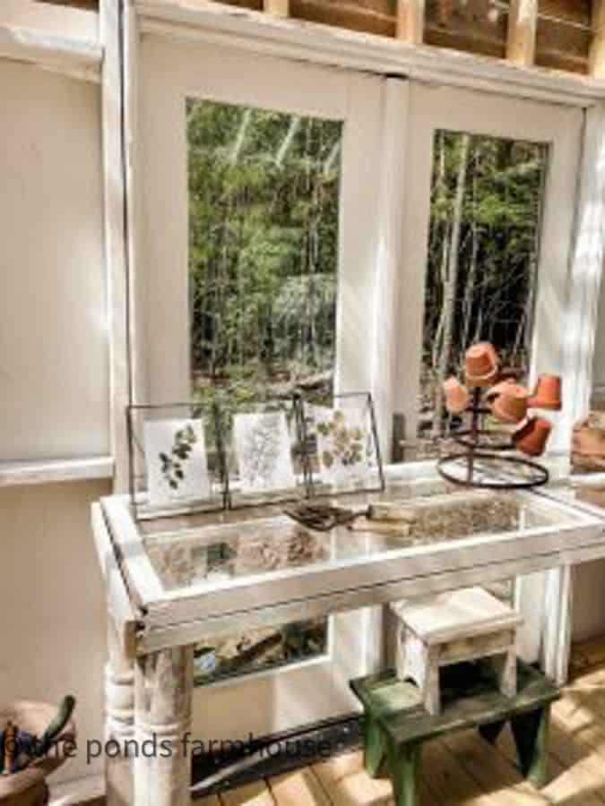 Old reclaimed windows repurposed as a potting table for greenhouse