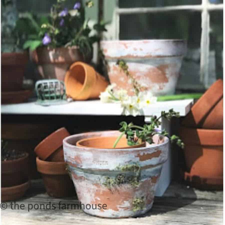 Make new clay pots look like vintage terra cotta pots with easy tutorial.  