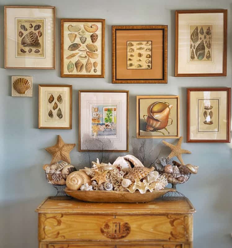 Shell-inspired Gallery Wall in a coastal Maine home.  