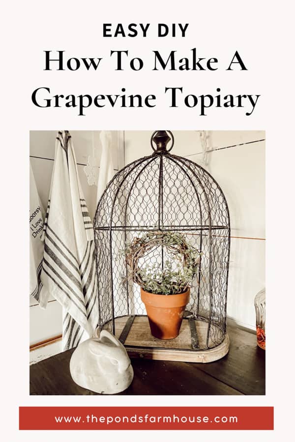 How to Make A DIY Grapevine Topiary with climbing plant.