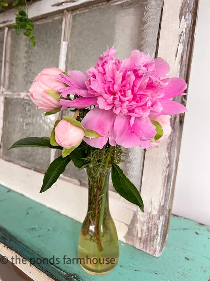 Peonies are also in bloom.  This bud vase is filled with peonies from my garden.