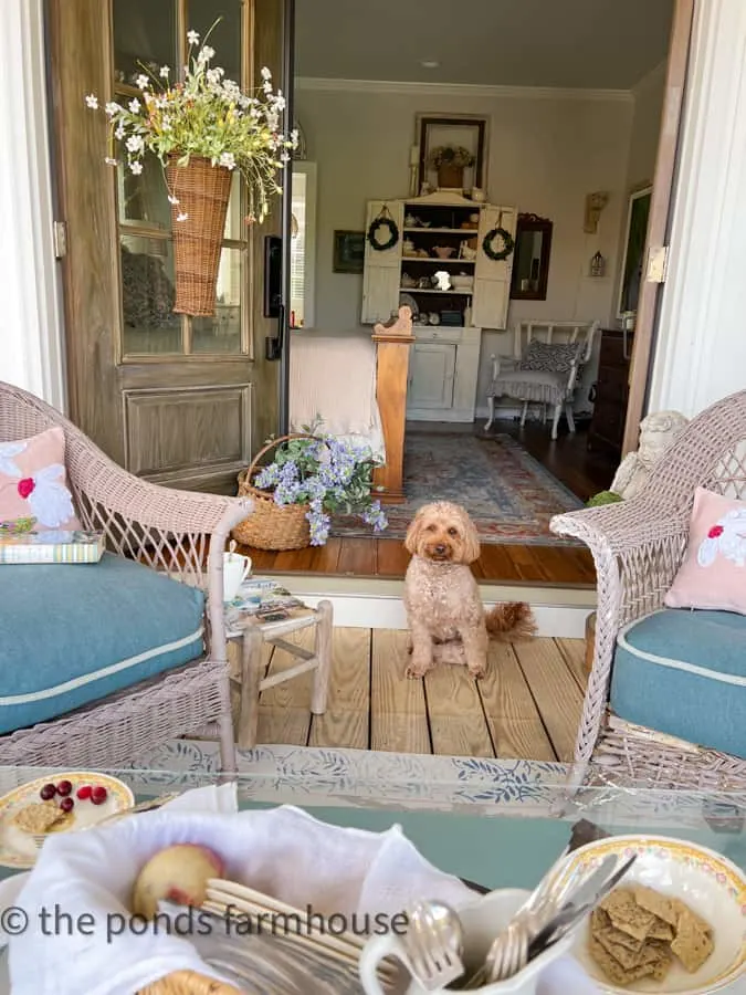 Sitting on a front porch with mini golden doodle and vintage wicker furniture.