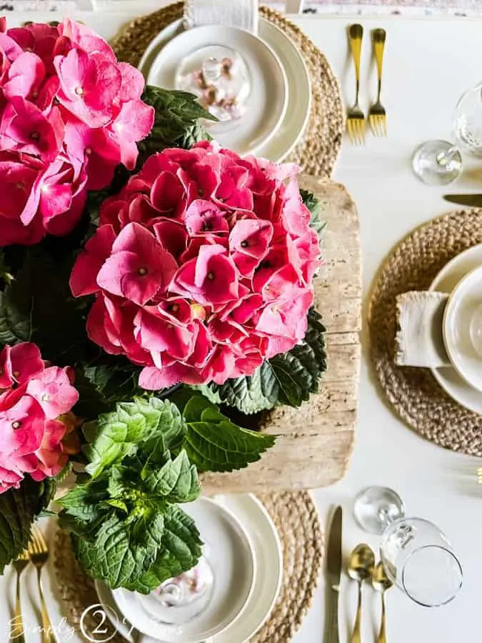 Simply two mom's table with hydrangeas for Supper club table setting