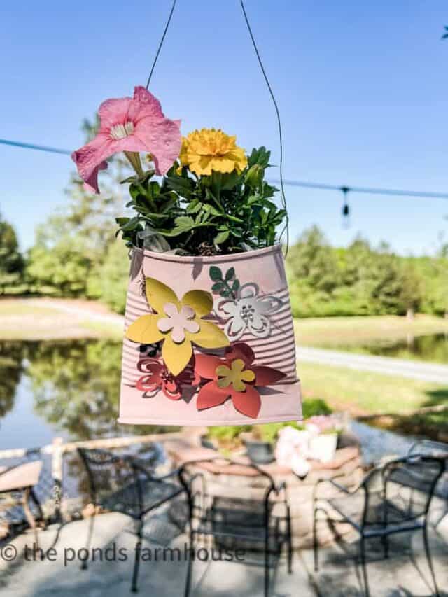 cropped-Petunias-in-recycled-plant-holders-1-1.jpg