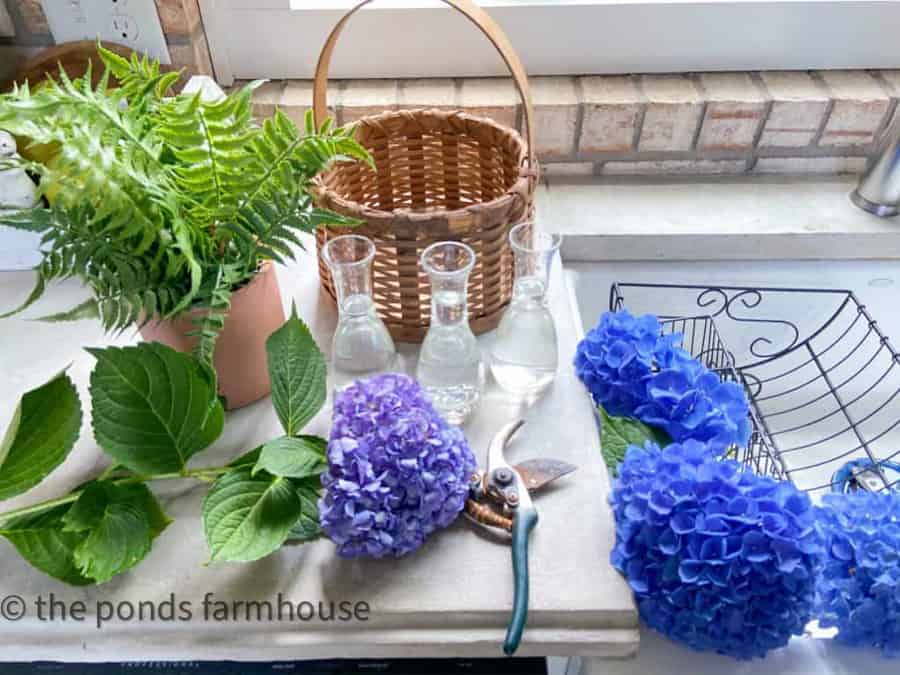 Arrange hydrangeas in a basket for a fun centerpiece for Summer.