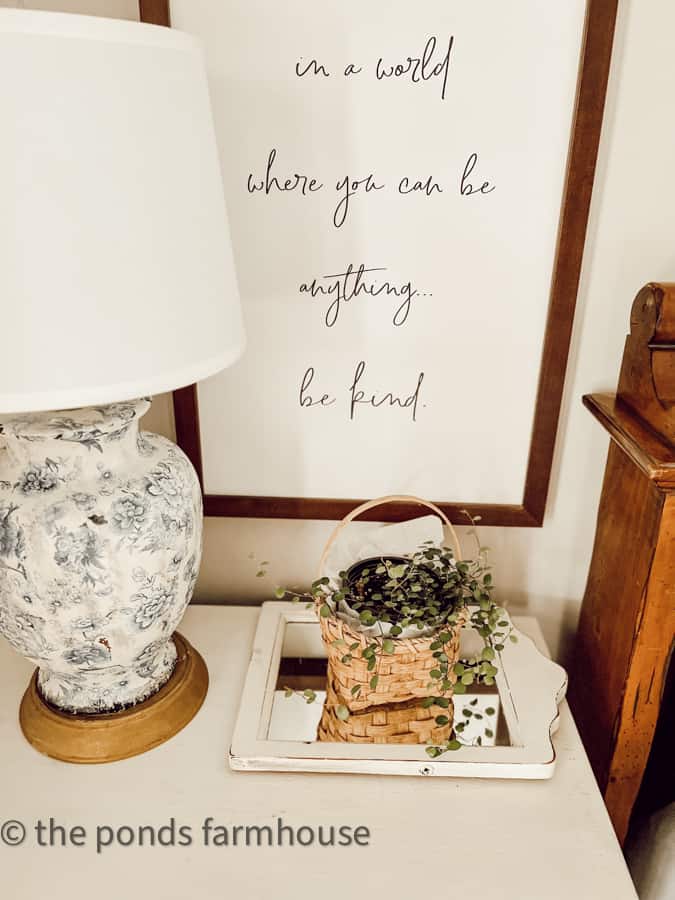 Add mirrors as a tray under plant in a basket.  