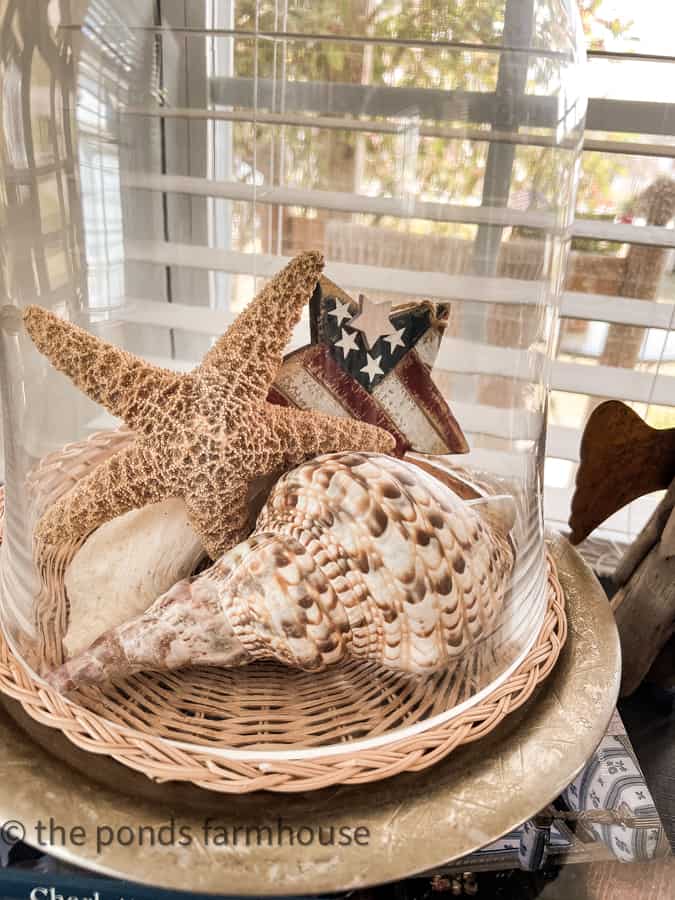 Sea Shells under a glass cloche with a wooden star for 4th of July Decorating in a Coastal Cottage.