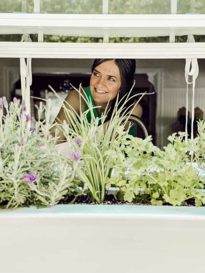 DIY Window Box Herb garden