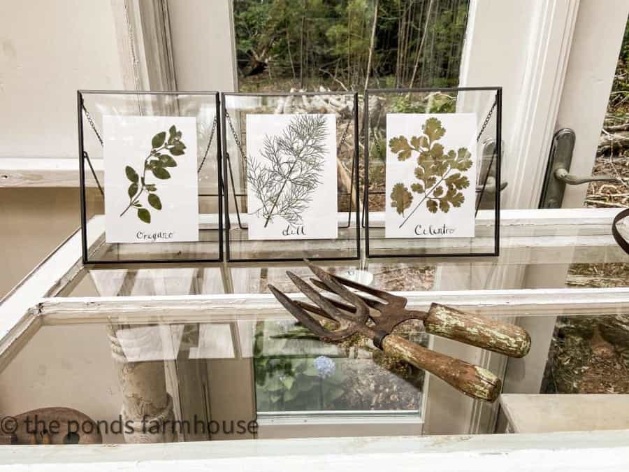 Framed pressed botanical herbs with vintage garden tools.