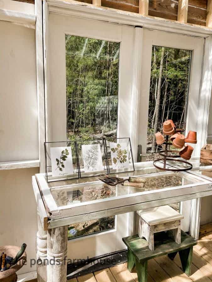 Pressed framed botanical herbs displayed in greenhouse.