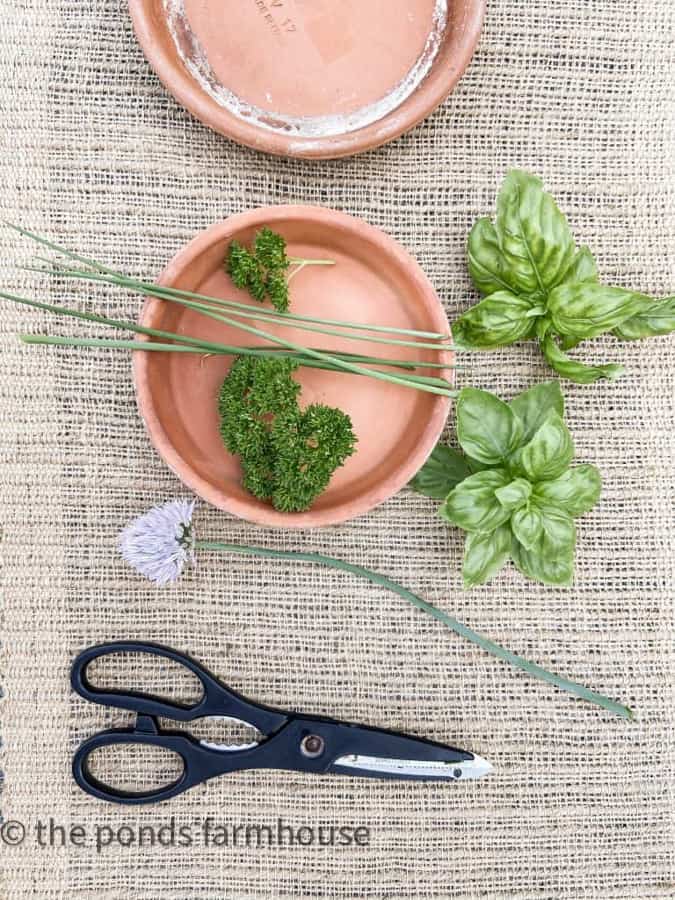 How to Press Herbs for Botanical Art