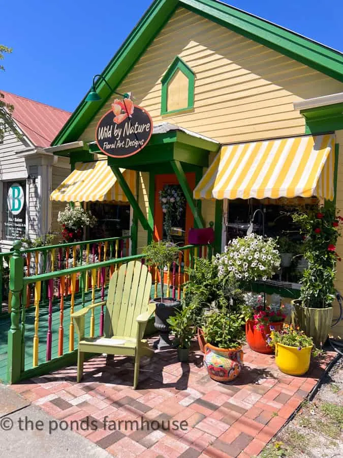 Wild by Nature Flower Shop is painted with festive colors