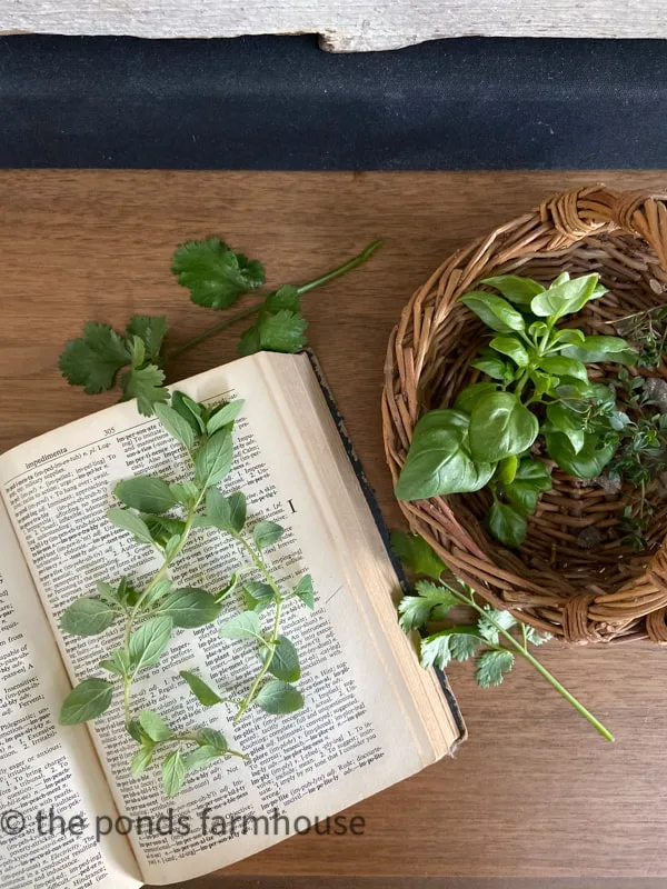 How to Press Herbs for Botanical Art