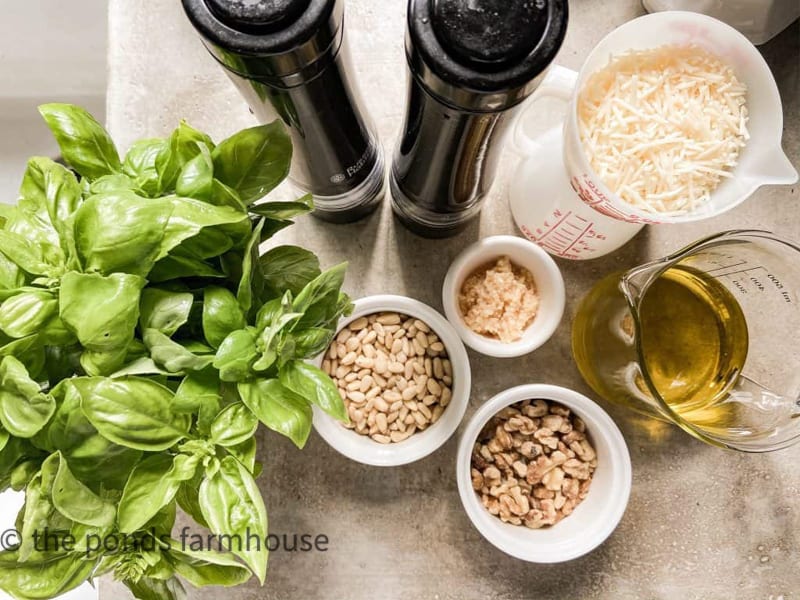 Recipe for basil pesto is easy to make and delicous.