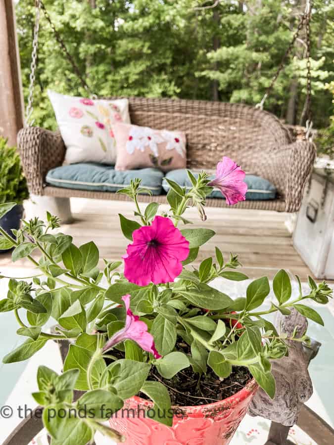 Petunias with front porch swing and DIY scrap fabric pillows