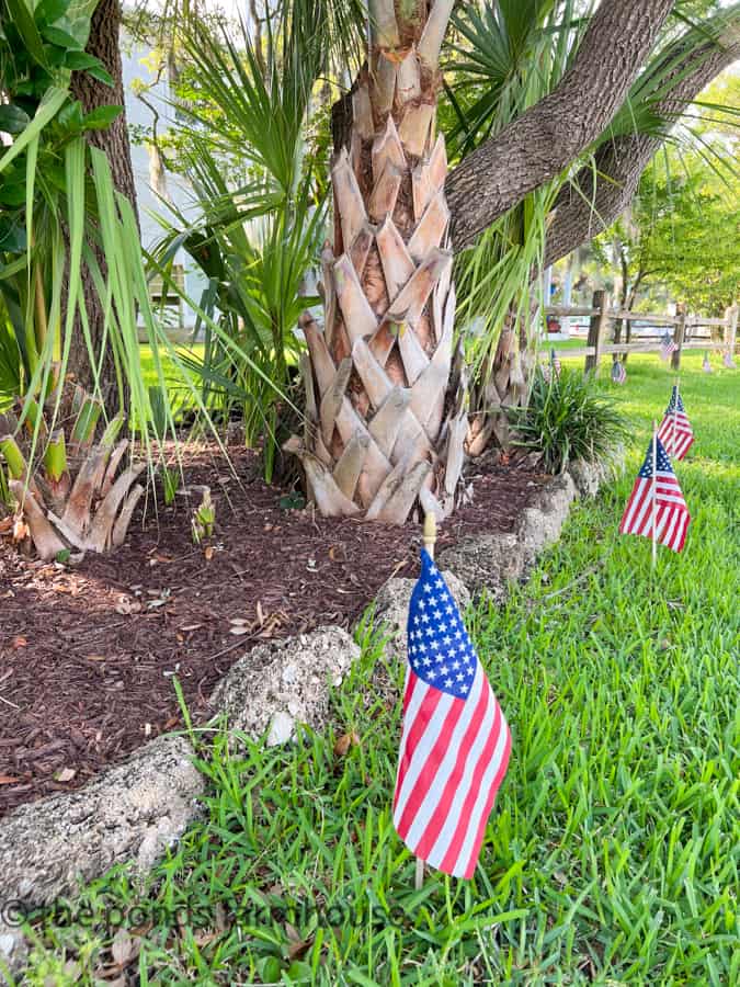 A Patriotic Dirt Road Adventures - mini flags at the beach for the 4th of July