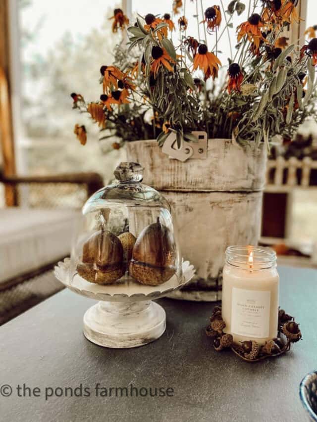 21 + Inspiring Ways To Decorate with Glass Cloche Domes