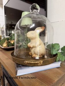 21 + Inspiring Ways To Decorate with Glass Cloche Domes