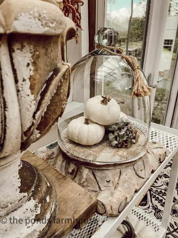 Faux pumpkins under glass dome. Glass Cloche decorating 