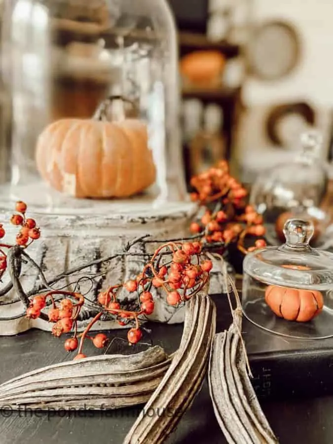 Inspiring Ways To Decorate with Glass Cloche Domes. Pumpkins under glass dome.