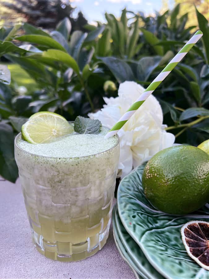 Party food ideas for adults include tropical cocktail - Frozen Mojito Recipe