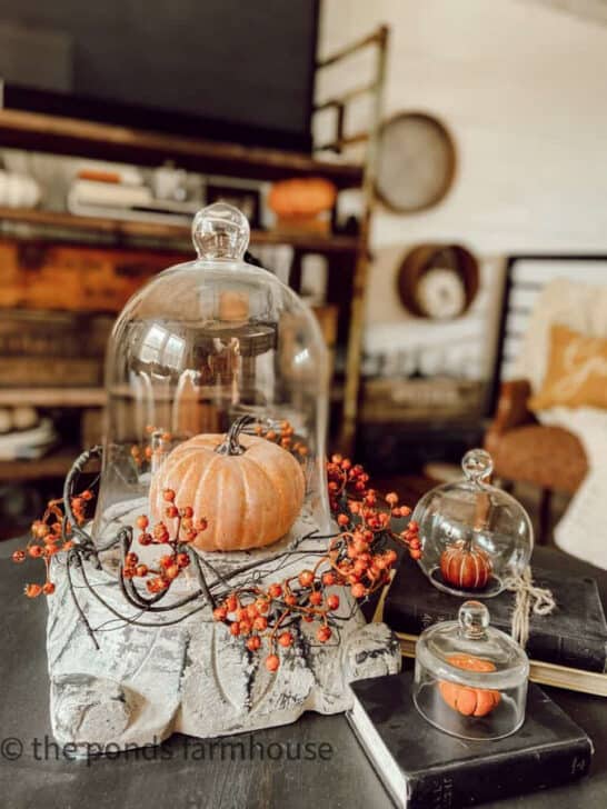 21 + Inspiring Ways To Decorate with Glass Cloche Domes
