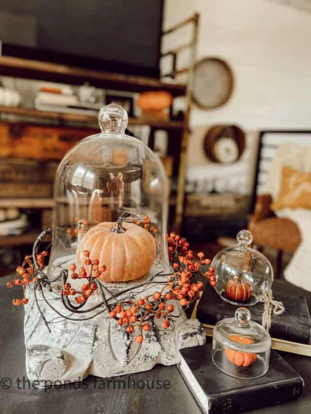 21 + Inspiring Ways To Decorate with Glass Cloche Domes