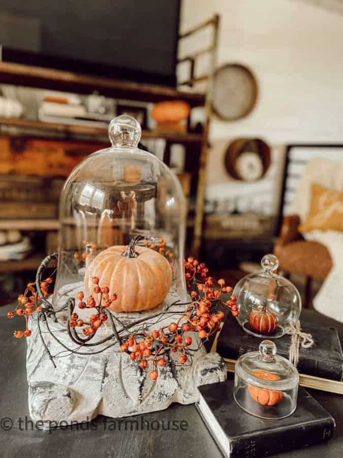 Faux pumpkins under a glass dome with a wrapped vine.