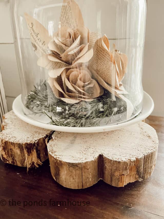 21 + Inspiring Ways To Decorate with Glass Cloche Domes