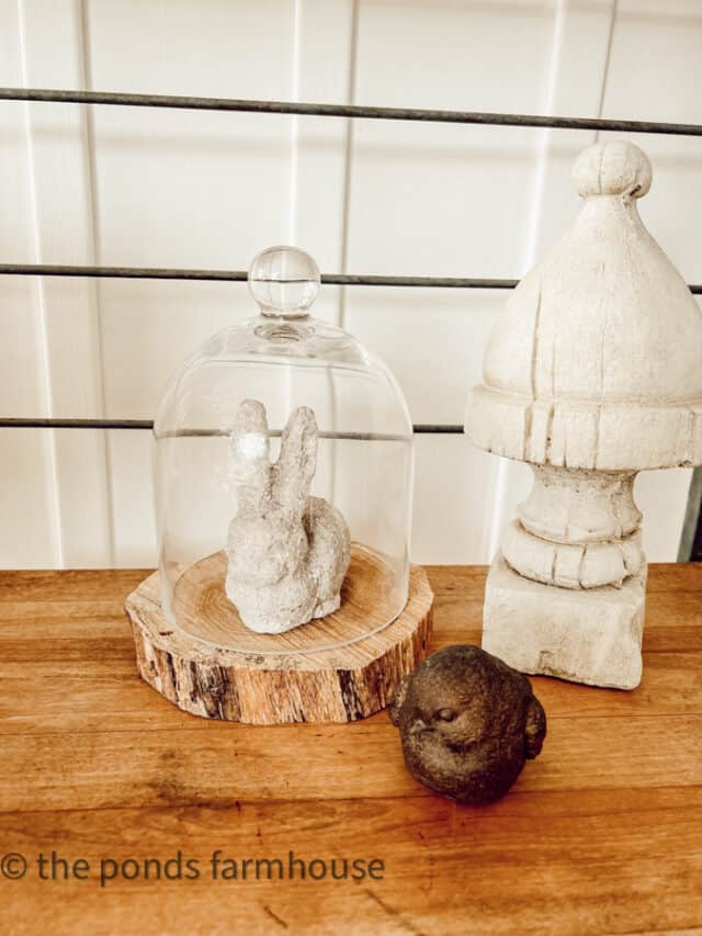 21 + Inspiring Ways To Decorate with Glass Cloche Domes
