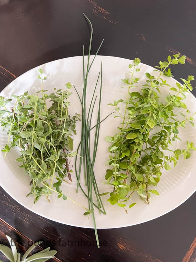 Oregano Chives & thyme on a white plate ready to Dry Herbs How To Hang to dry, freeze, or dehydrate. 